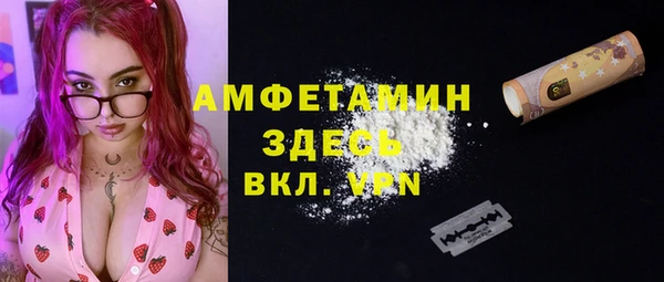 твердый Алзамай