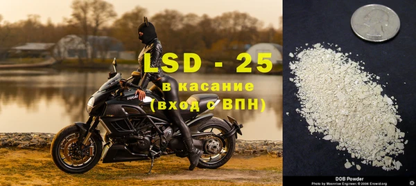 твердый Алзамай