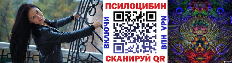 Псилоцибиновые грибы Psilocybe  Коряжма 